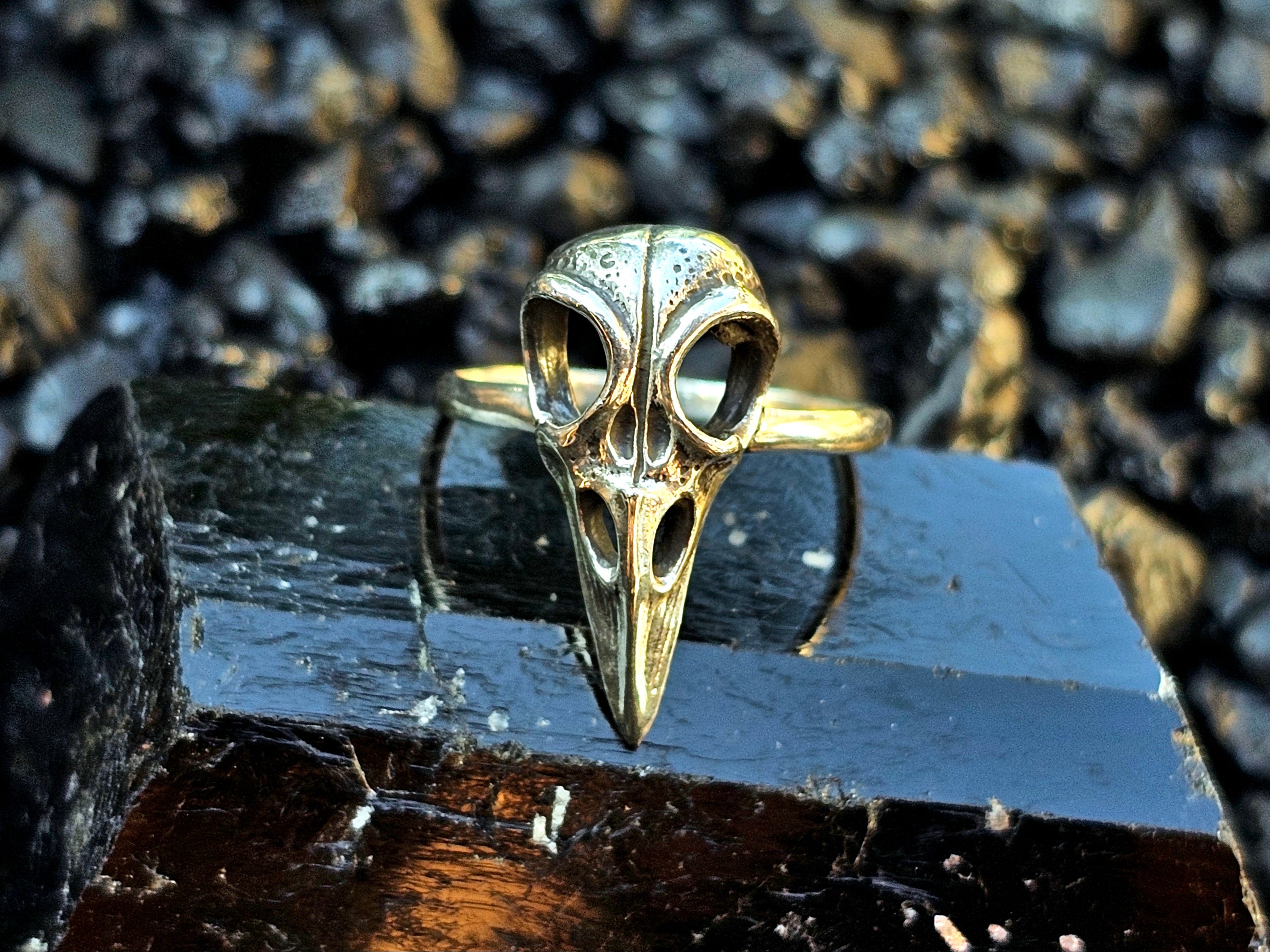 Gothic Sterling Silver Raven Skull Ring Bird Skull Ring