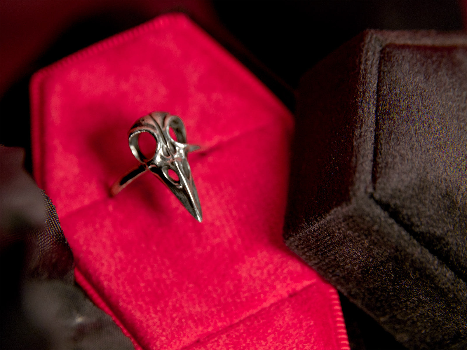 Gothic Sterling Silver Raven Skull Ring Bird Skull Ring