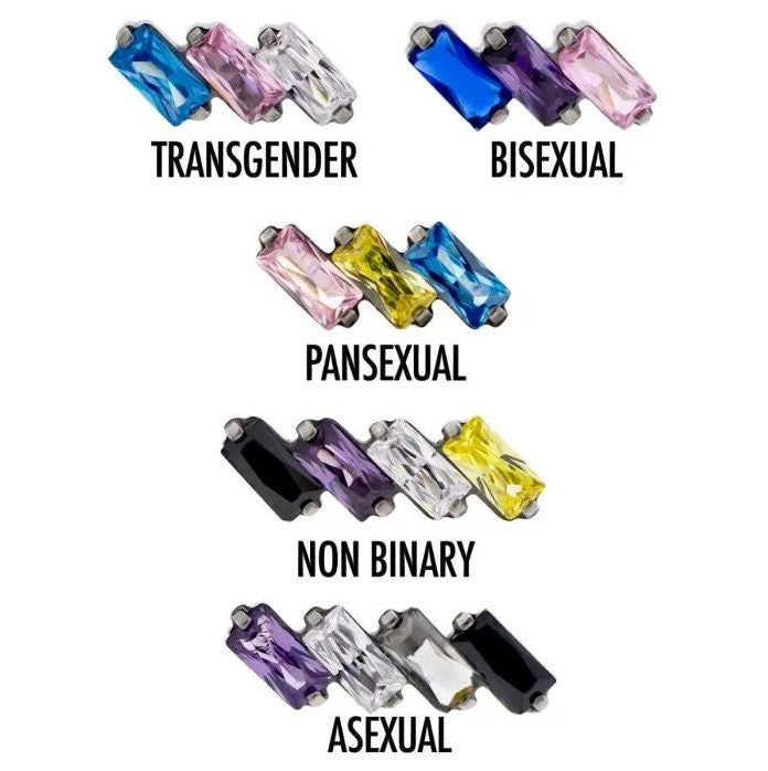 Pride Flags Earring